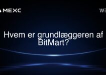 Hvem er grundlæggeren af BitMart?