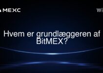 Hvem er grundlæggeren af BitMEX?