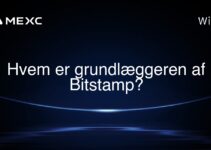 Hvem er grundlæggeren af Bitstamp?