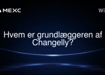 Hvem er grundlæggeren af Changelly?