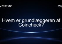 Hvem er grundlæggeren af Coincheck?