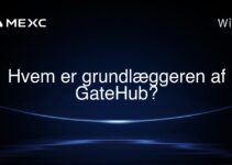 Hvem er grundlæggeren af GateHub?