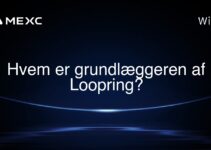 Hvem er grundlæggeren af Loopring?