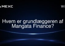 Hvem er grundlæggeren af Mangata Finance?