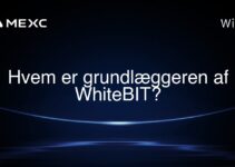 Hvem er grundlæggeren af WhiteBIT?