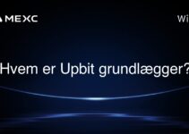 Hvem er Upbit grundlægger?