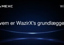 Hvem er WazirX’s grundlægger?