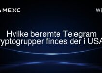 Hvilke berømte Telegram kryptogrupper findes der i USA?