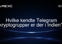 Hvilke kendte Telegram kryptogrupper er der i Indien?