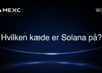 Hvilken kæde er Solana på?
