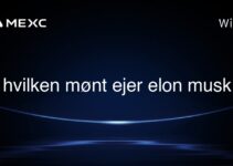 hvilken mønt ejer elon musk