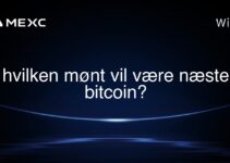 hvilken mønt vil være næste bitcoin?
