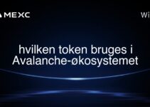 hvilken token bruges i Avalanche-økosystemet
