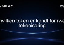 hvilken token er kendt for rwa tokenisering