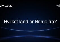 Hvilket land er Bitrue fra?