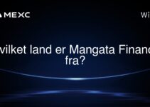Hvilket land er Mangata Finance fra?