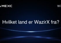 Hvilket land er WazirX fra?