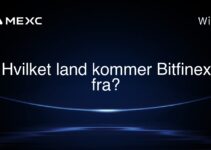 Hvilket land kommer Bitfinex fra?