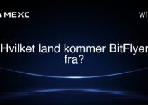 Hvilket land kommer BitFlyer fra?