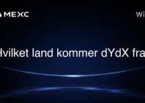 Hvilket land kommer dYdX fra?