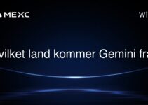 Hvilket land kommer Gemini fra?