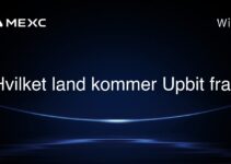 Hvilket land kommer Upbit fra?
