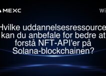 Hvilke uddannelsesressourcer kan du anbefale for bedre at forstå NFT-API’er på Solana-blockchainen?