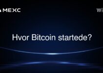 Hvor Bitcoin startede?