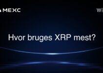 Hvor bruges XRP mest?