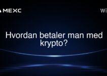 Hvordan betaler man med krypto?