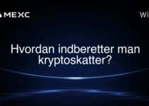 Hvordan indberetter man kryptoskatter?
