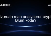 Hvordan man analyserer crypto Blum kode?