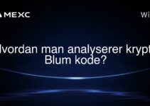 Hvordan man analyserer krypto Blum kode?
