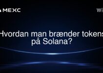 Hvordan man brænder tokens på Solana?