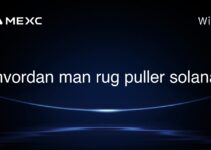 hvordan man rug puller solana