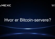 Hvor er Bitcoin-servere?