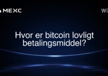 Hvor er bitcoin lovligt betalingsmiddel?