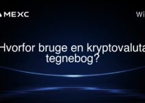 Hvorfor bruge en kryptovaluta tegnebog?