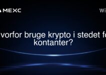 Hvorfor bruge krypto i stedet for kontanter?