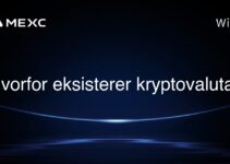 Hvorfor eksisterer kryptovaluta?