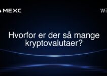 Hvorfor er der så mange kryptovalutaer?
