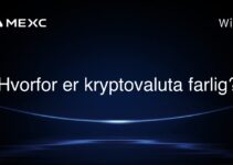 Hvorfor er kryptovaluta farlig?
