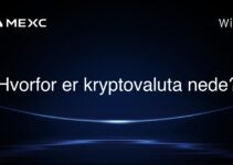 Hvorfor er kryptovaluta nede?