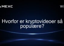 Hvorfor er kryptovideoer så populære?