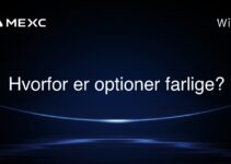 Hvorfor er optioner farlige?