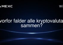 Hvorfor falder alle kryptovalutaer sammen?