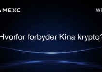 Hvorfor forbyder Kina krypto?