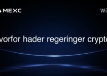 Hvorfor hader regeringer crypto?