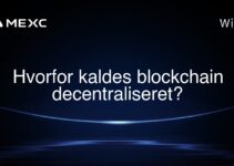 Hvorfor kaldes blockchain decentraliseret?
