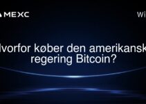 Hvorfor køber den amerikanske regering Bitcoin?